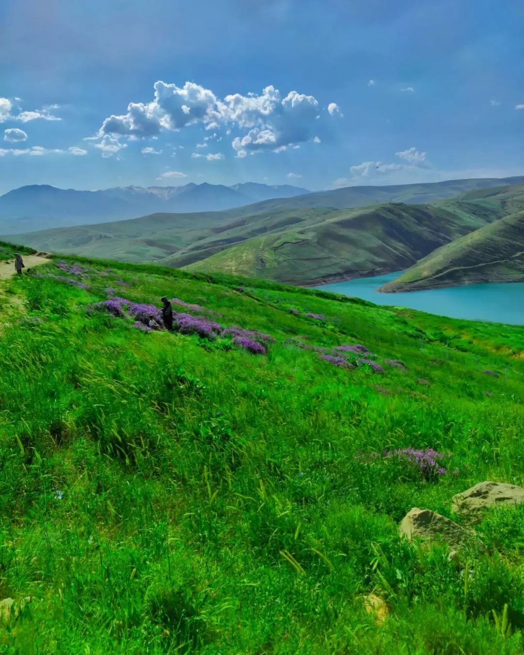 تصاویری از طبیعت دریاچه سد شهر چای