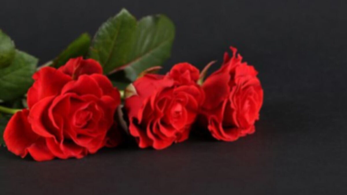 ایده‌ای برای تزئین سالاد الویه + فیلم