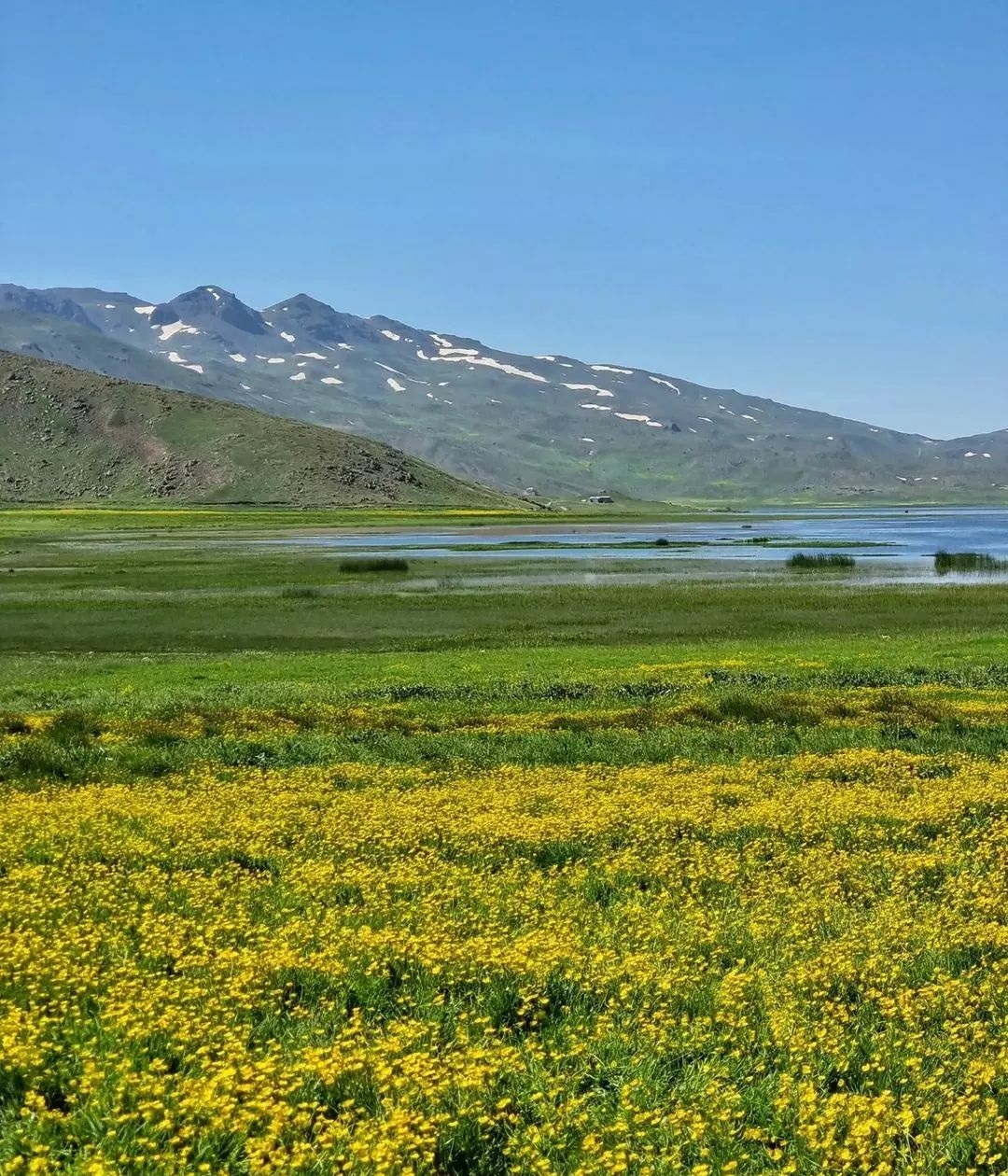 تماشای دریاچه نئور بر بلندی&zwnj;های رشته کوه باغرو + فیلم و تصاویر