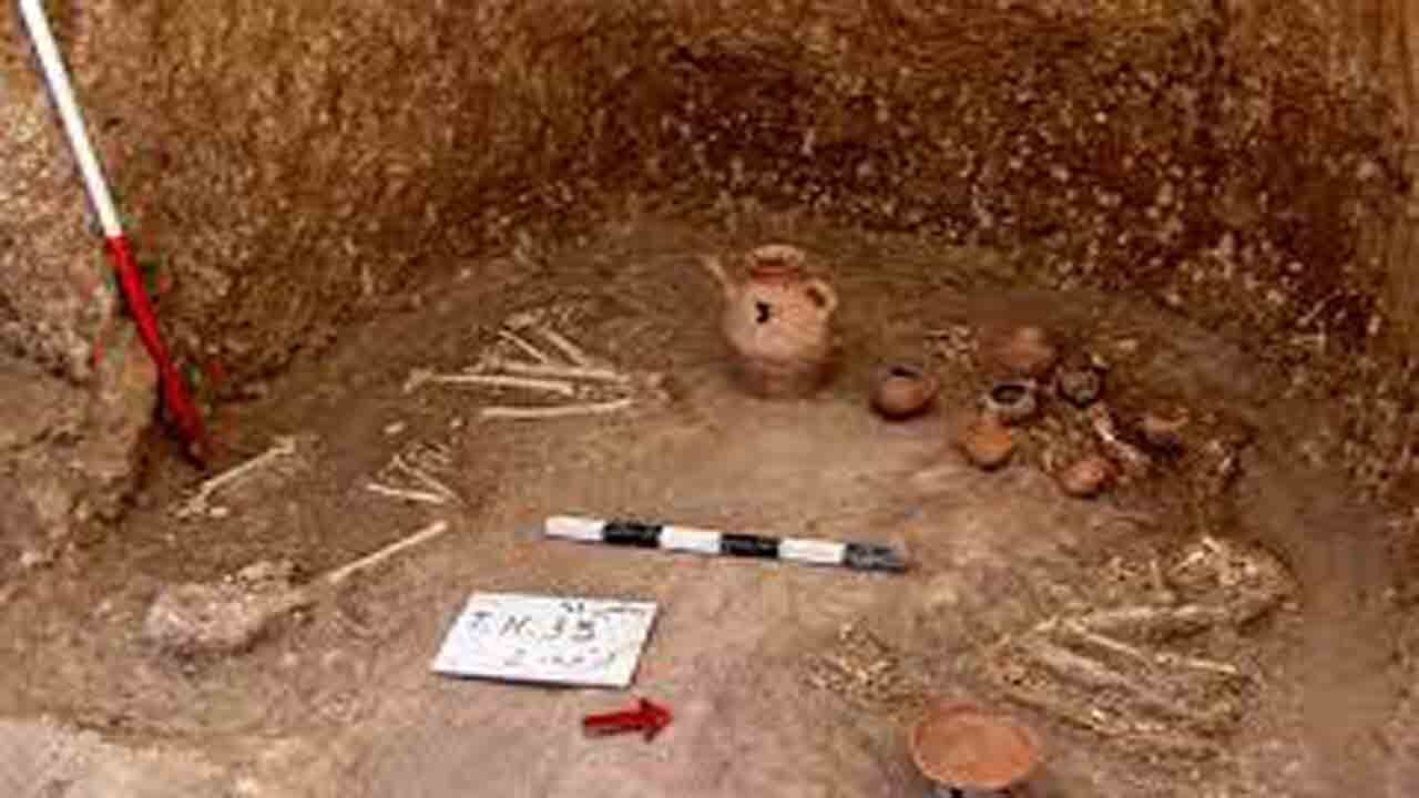 دستگیری حفاران غیر مجاز در یک عملیات