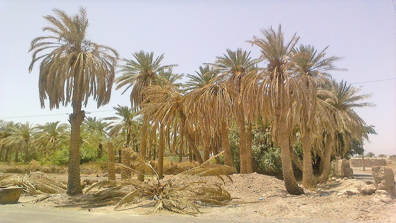 از