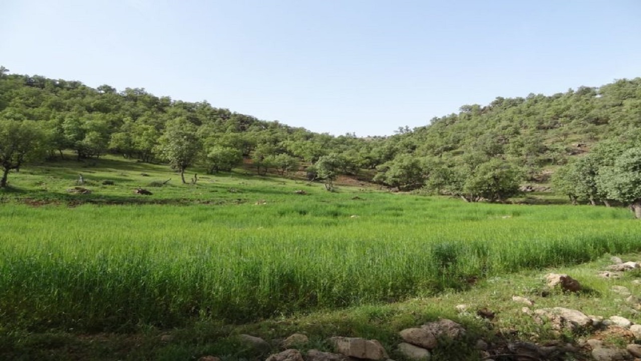 فیلمی از طبیعت روستای ناغان را به تماشا بنشینید
