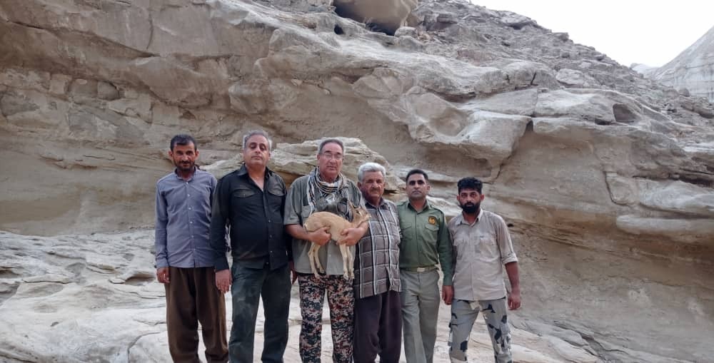 نجات بزغاله کوهی از درون آبگیر