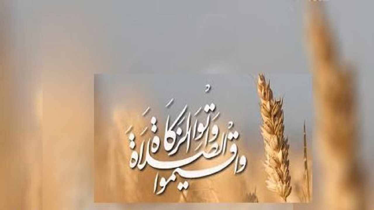 جمع‌آوری‌۵۲ میلیارد تومان زکات در سطح استان اصفهان