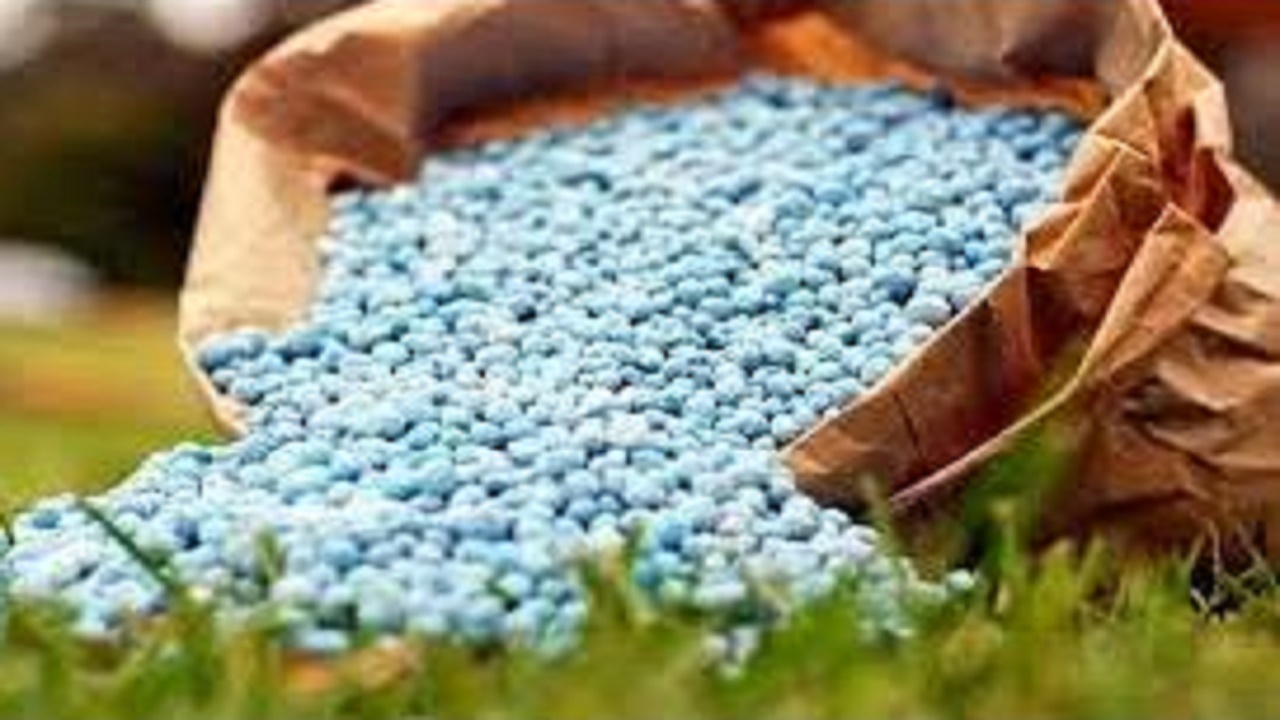 تامین ۷۲ هزار تن کود کشاورزی در مازندران