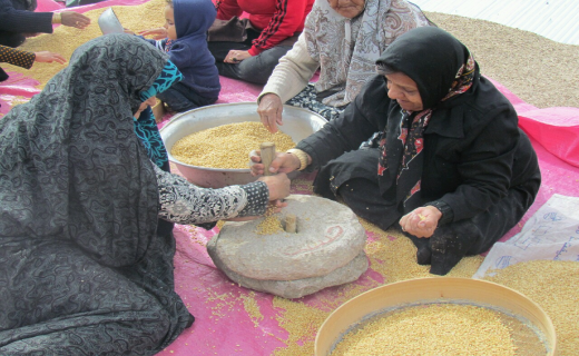آیین حلیم&zwnj;پزان خراسان شمالی