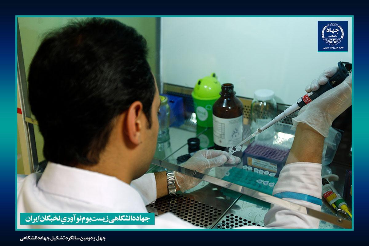 تولید محصولات گیاهی برای کاهش عوارض شیمی درمانی