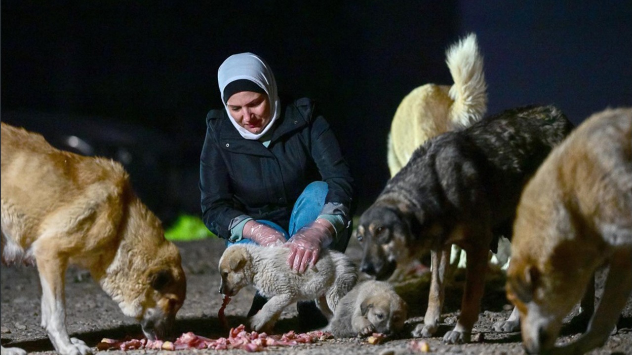 ولگرد&zwnj;هایی که بلاتکلیف اند!