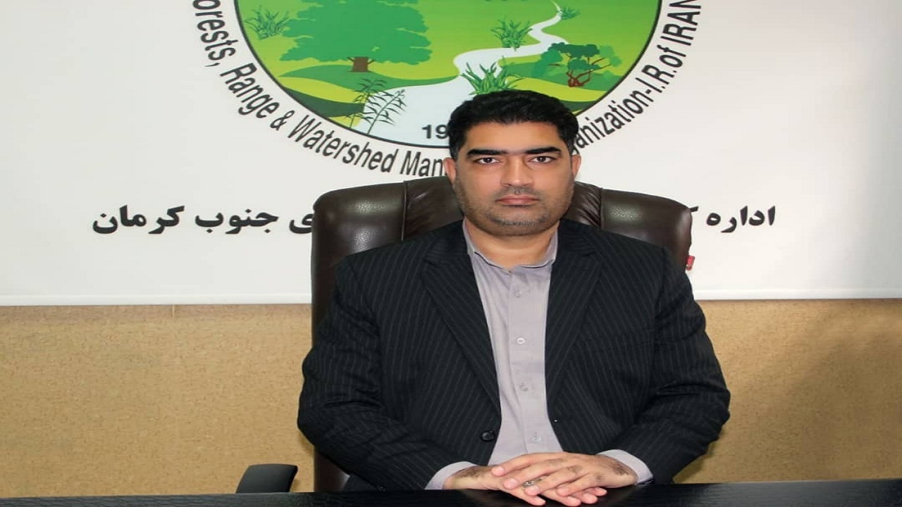 آبخیزداری جنوب کرمان مانع برخی خسارت ها در سیل شد