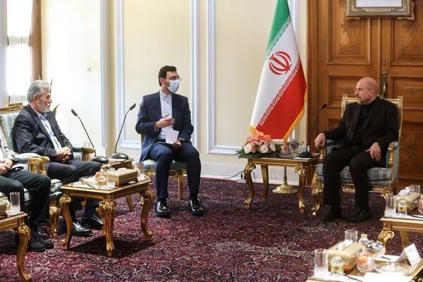 رئیس مجلس: مجاهدت و مقاومت تنها رمز پیروزی است