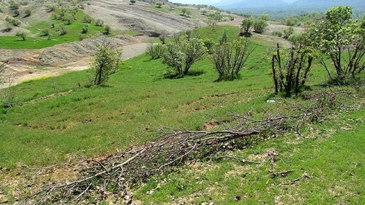 ۲۳ هکتار از اراضی ملی در مراوه تپه رفع تصرف شد