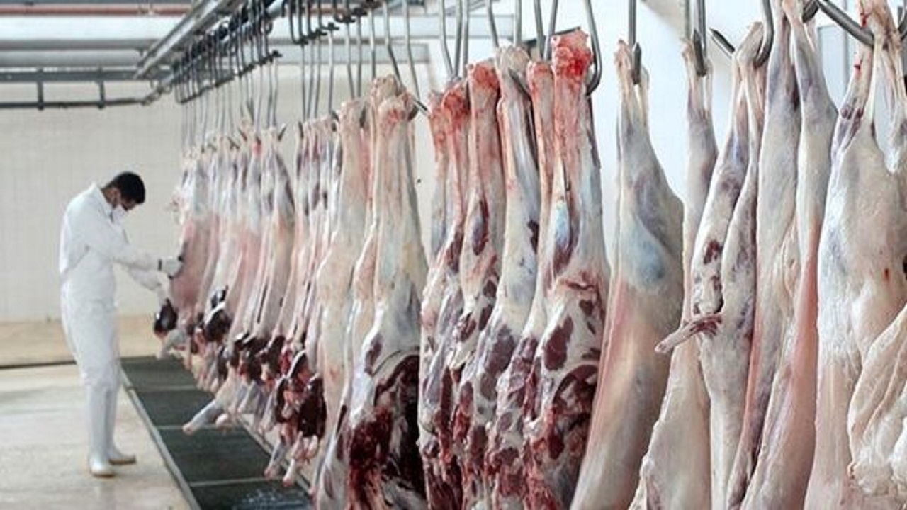 فعالیت ۳ اکیپ دامپزشکی در روز‌های تاسوعا و عاشورا حسینی در باوی