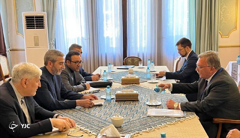 دیدارهای برجامی علی باقری در وین