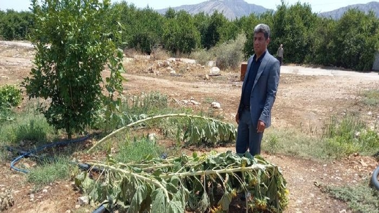 تاثیر خسارت سیل اخیر بر کشاورزی شهرستان باشت