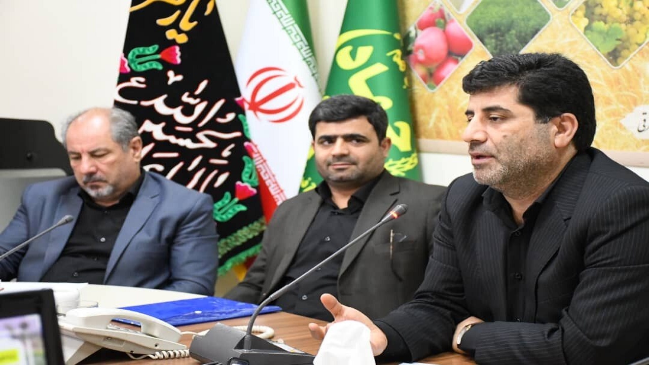طرح جهش تولید در دیمزار‌های آذربایجان شرقی یک هزار و ۵۰۰ میلیارد تومان بازدهی دارد