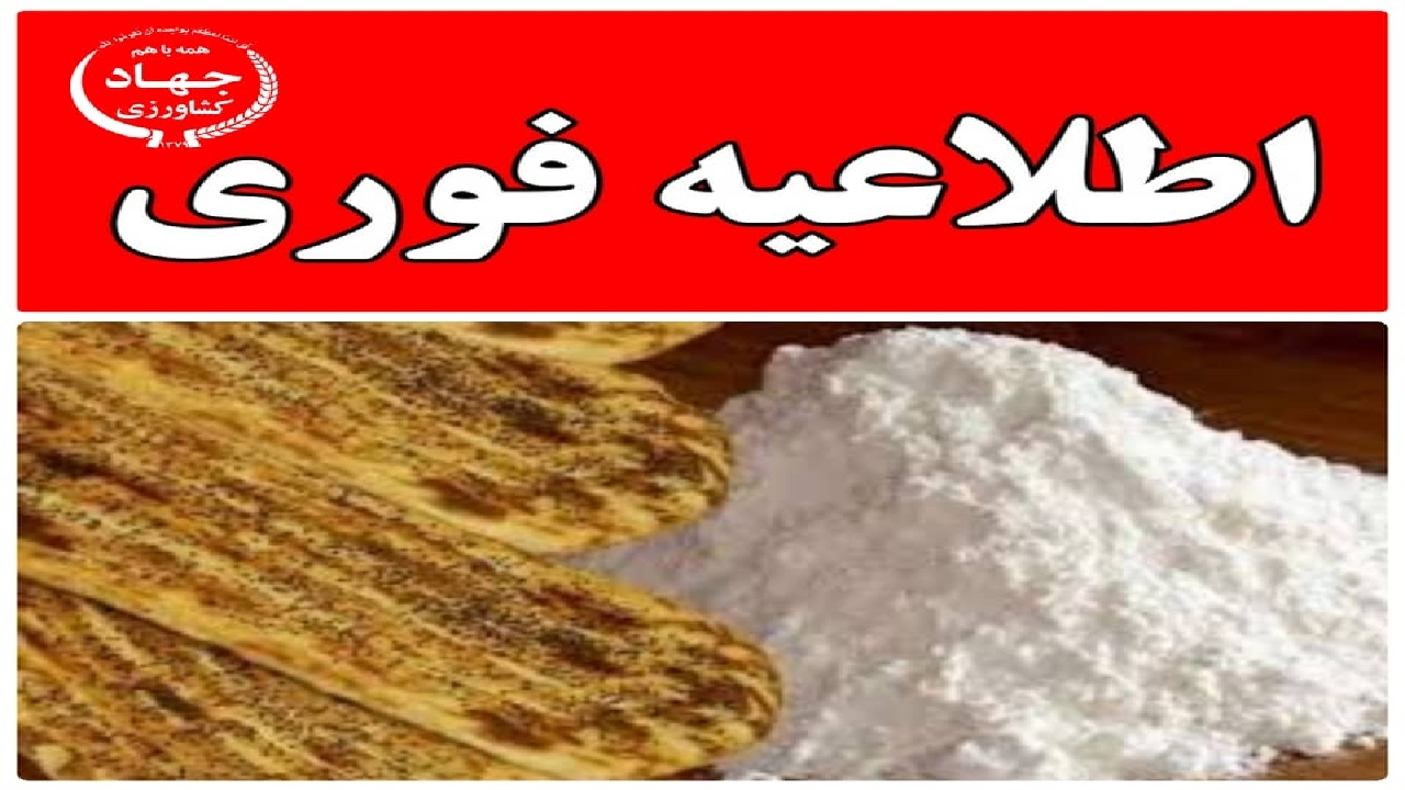 با بی نظمی و تعطیلی خودسرانه واحد‌های نانوایی برخورد می‌شود