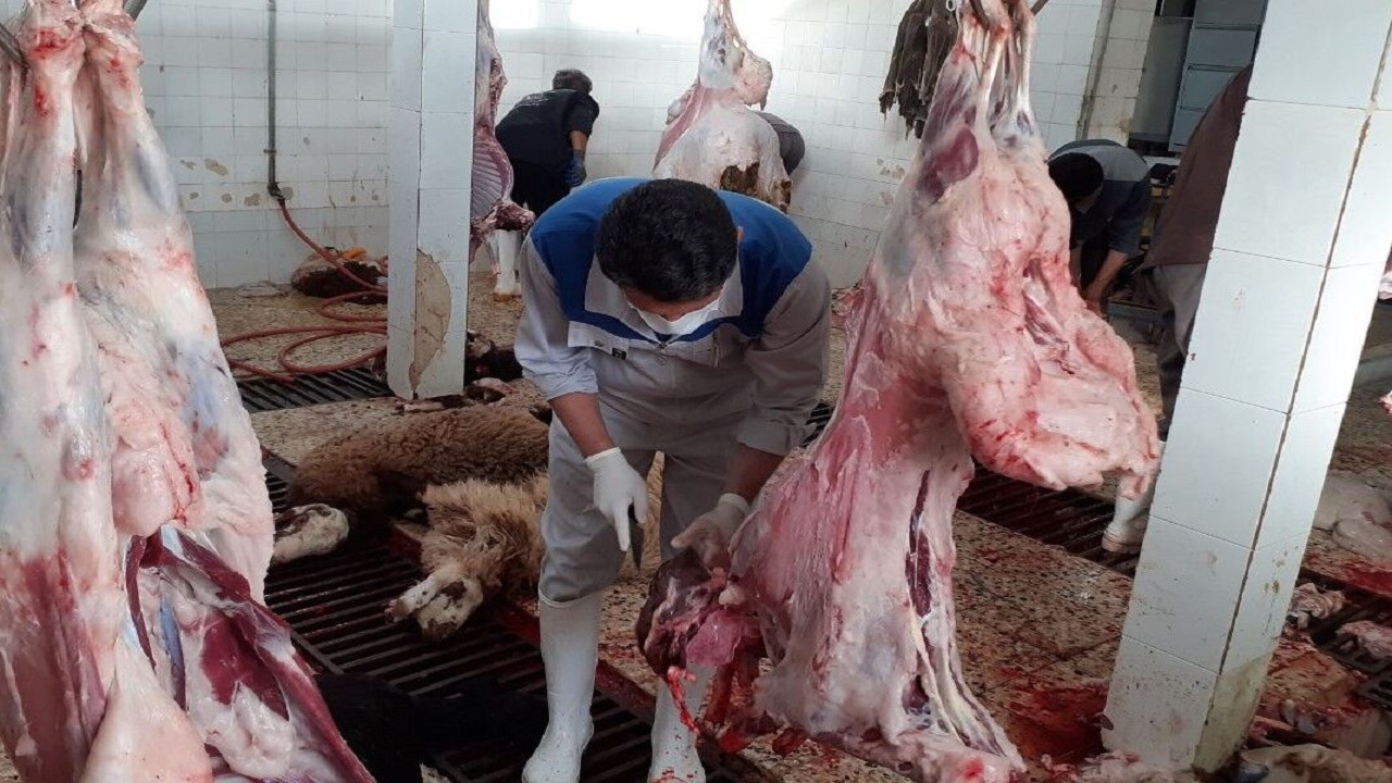 نظارت ۷۰ گروه دامپزشکی اصفهان بر دام های قربانی تاسوعا وعاشورا