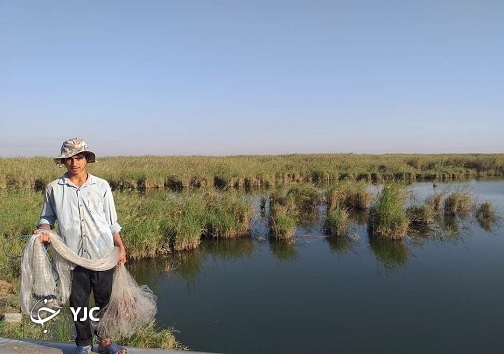 تالاب شادگان