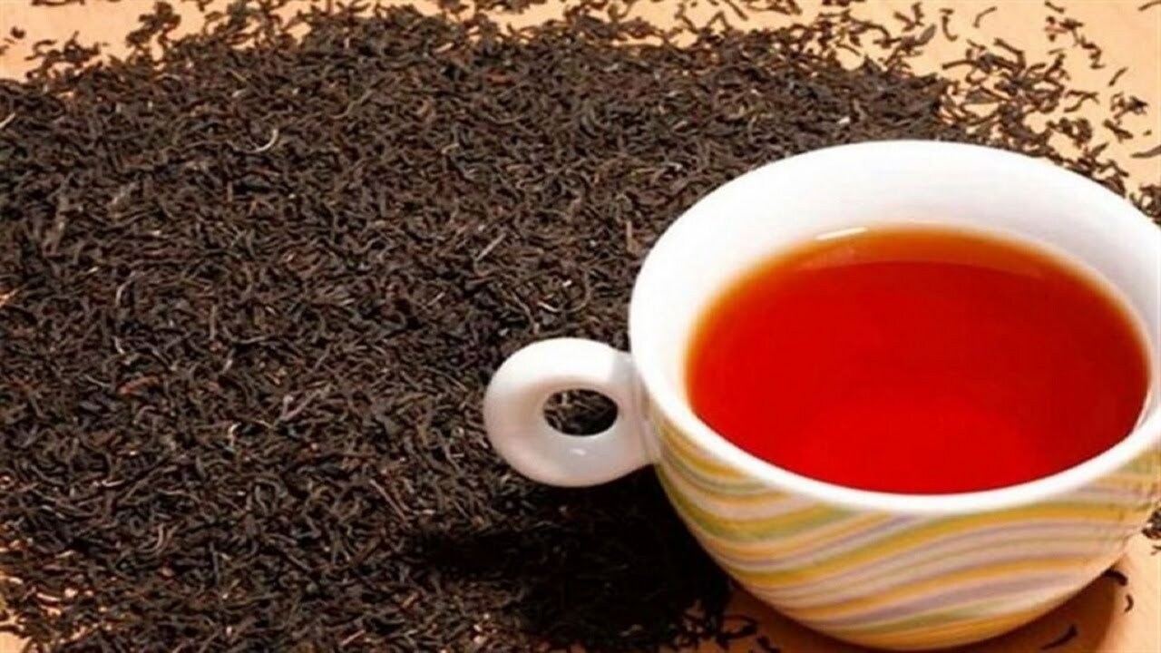 خرید برگ سبز چای به ۸۱ هزار تن رسید/پرداخت ۷۶ درصد مطالبات چایکاران