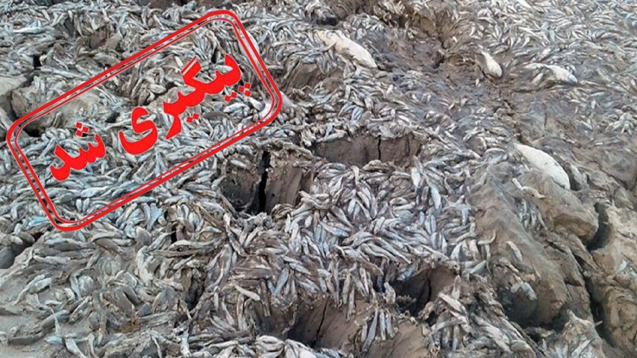 از