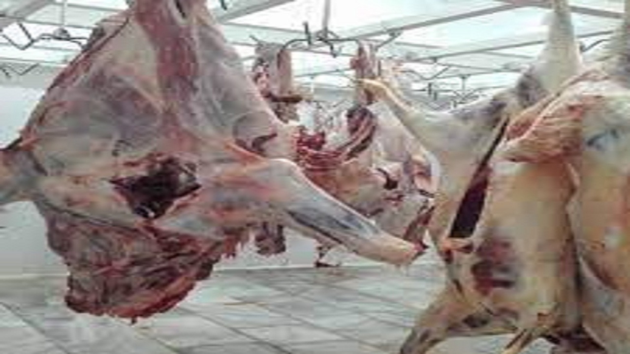 نظارت و بازرسی بهداشتی و شرعی بر ذبح دام