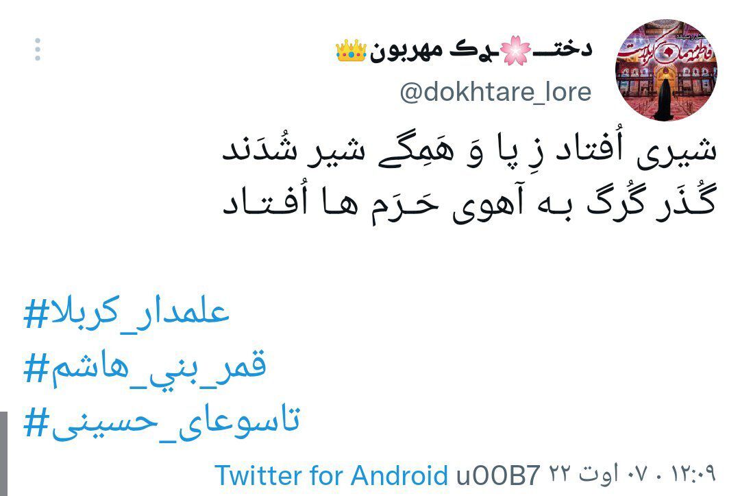 سوگواری مجازی کاربران برای سقای کربلا
