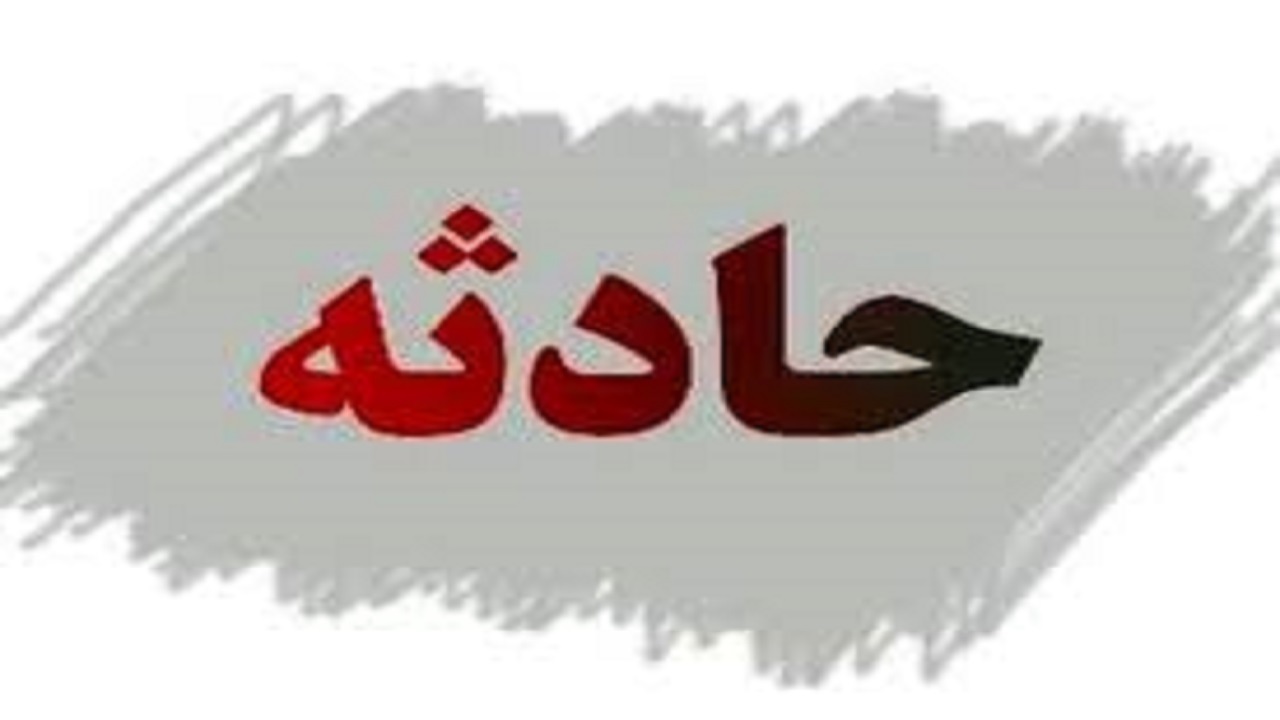اقدام به موقع پلیس مانع از آتش سوزی خودرو شد
