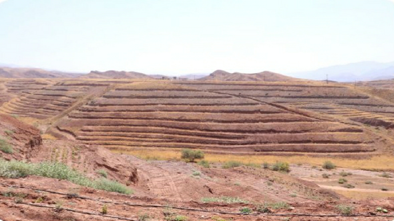 طرح توسعه ۴۱۰ هکتاری باغات در اراضی شیبدار روستای الموت غربی
