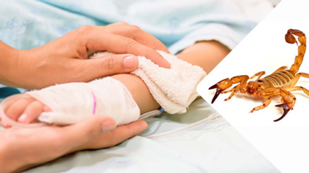 توضیحات دانشگاه علوم پزشکی یاسوج در خصوص فوت یک کودک عقرب زده + عکس