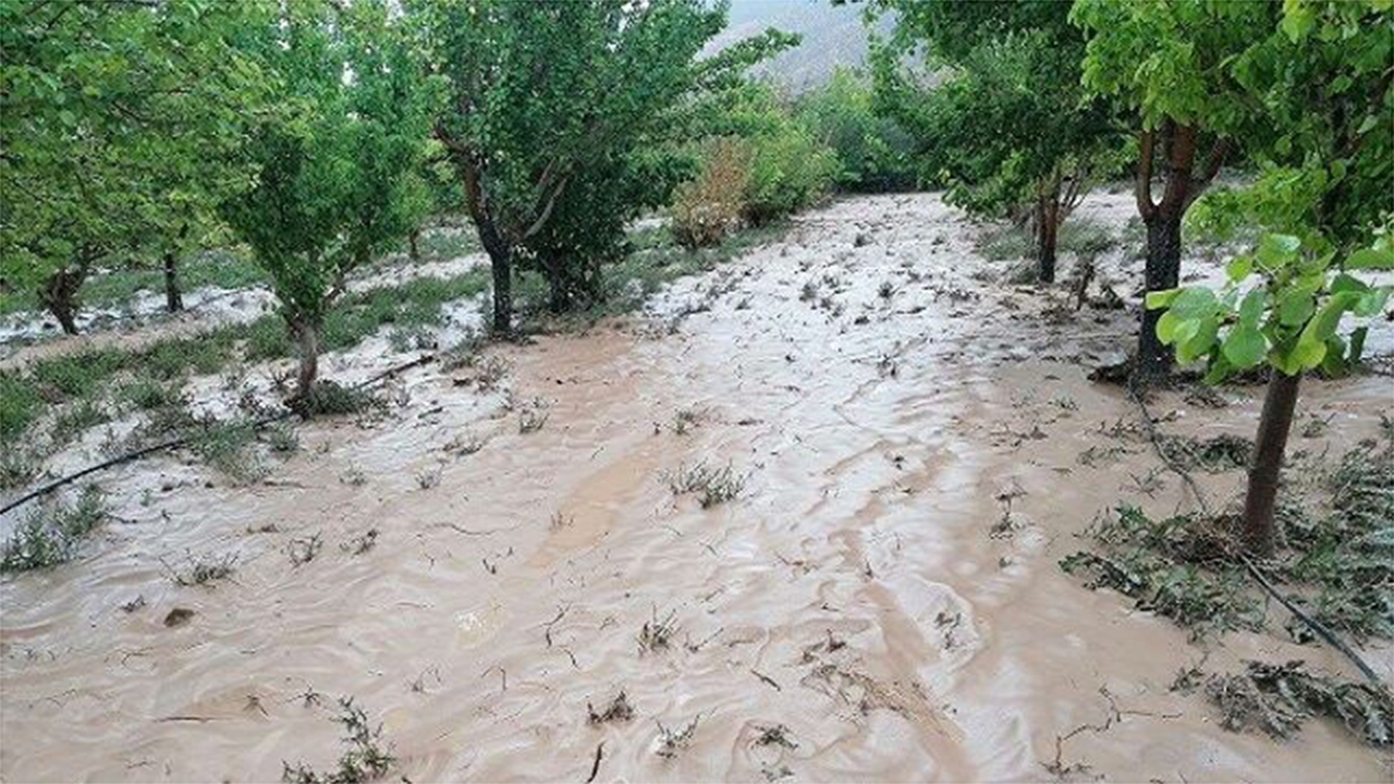 خسارت ۲۹۷ میلیاردی سیل به بخش کشاورزی سرچهان