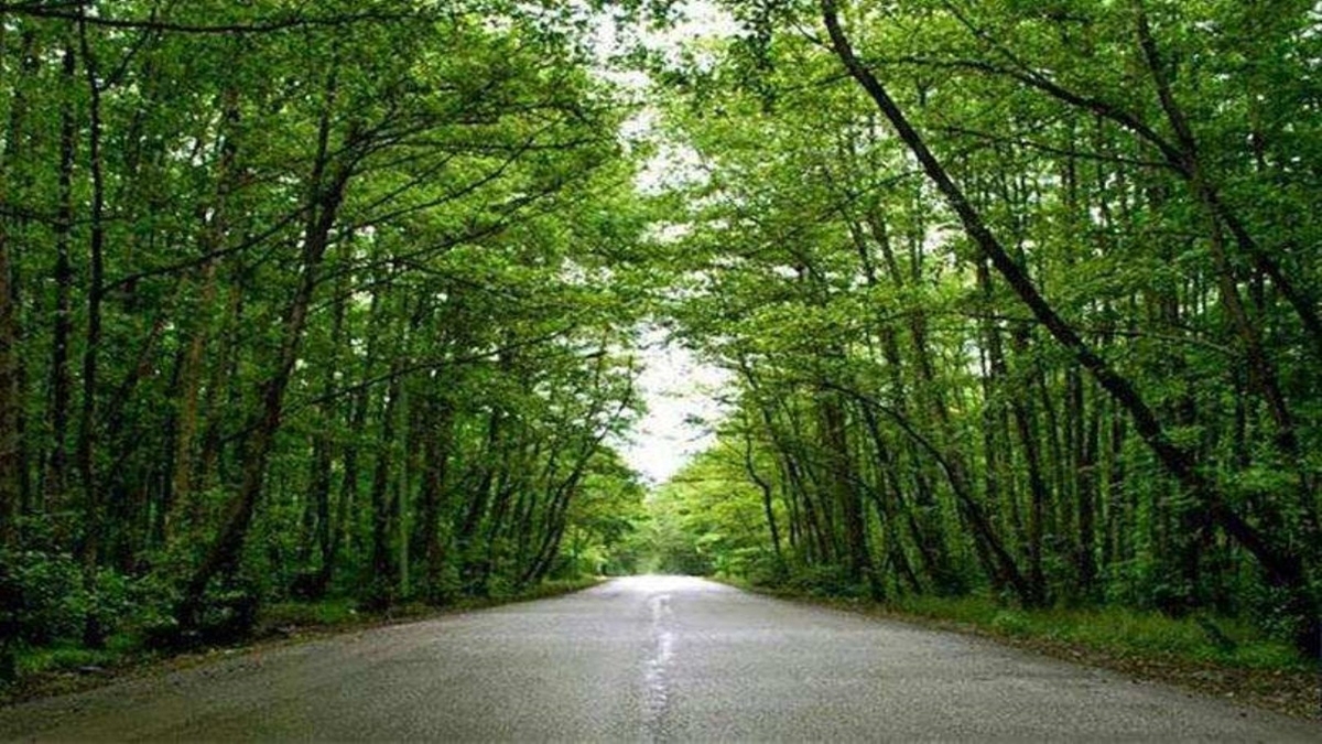 شهر یخ زده در هیلونگجیانگ چین + فیلم