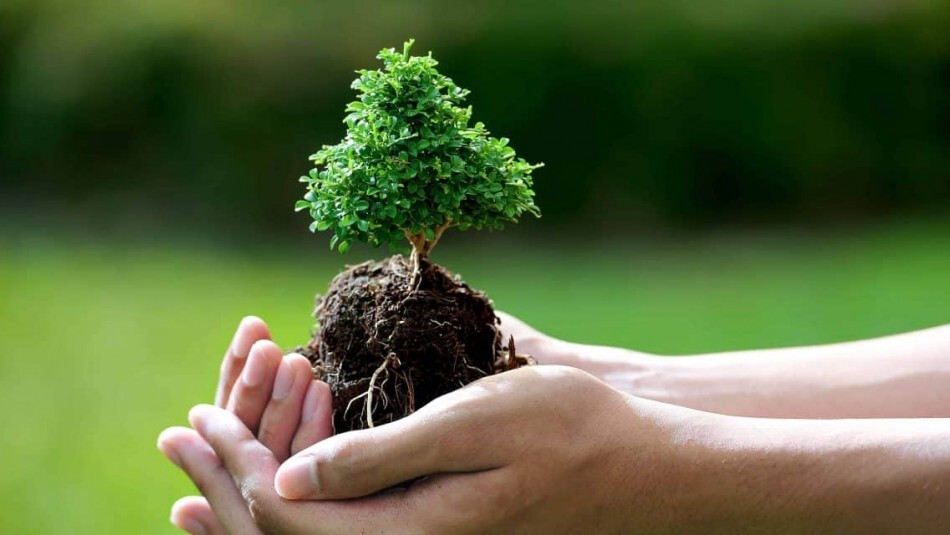 مشکلات زیست محیطی خوزستان مورد بررسی قرار گرفت