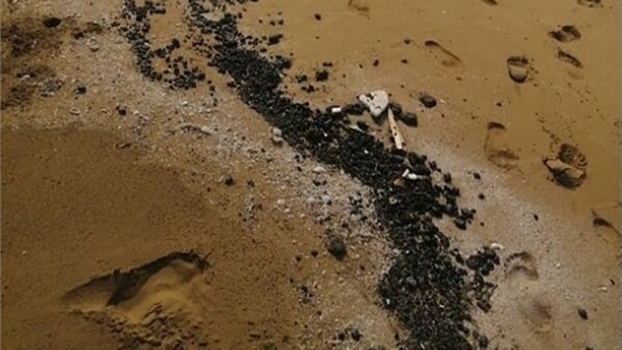 ماجرای آلودگی نفتی در ساحل کنگان