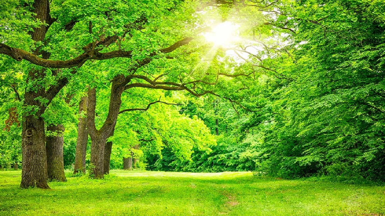 درخشش آفتاب تابستانی در آسمان گیلان
