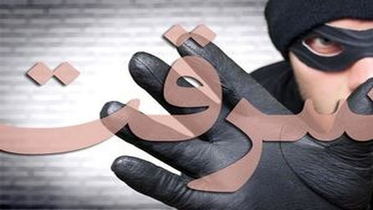 دستگیری بیش از هزار نفر از سارقان در خراسان جنوبی
