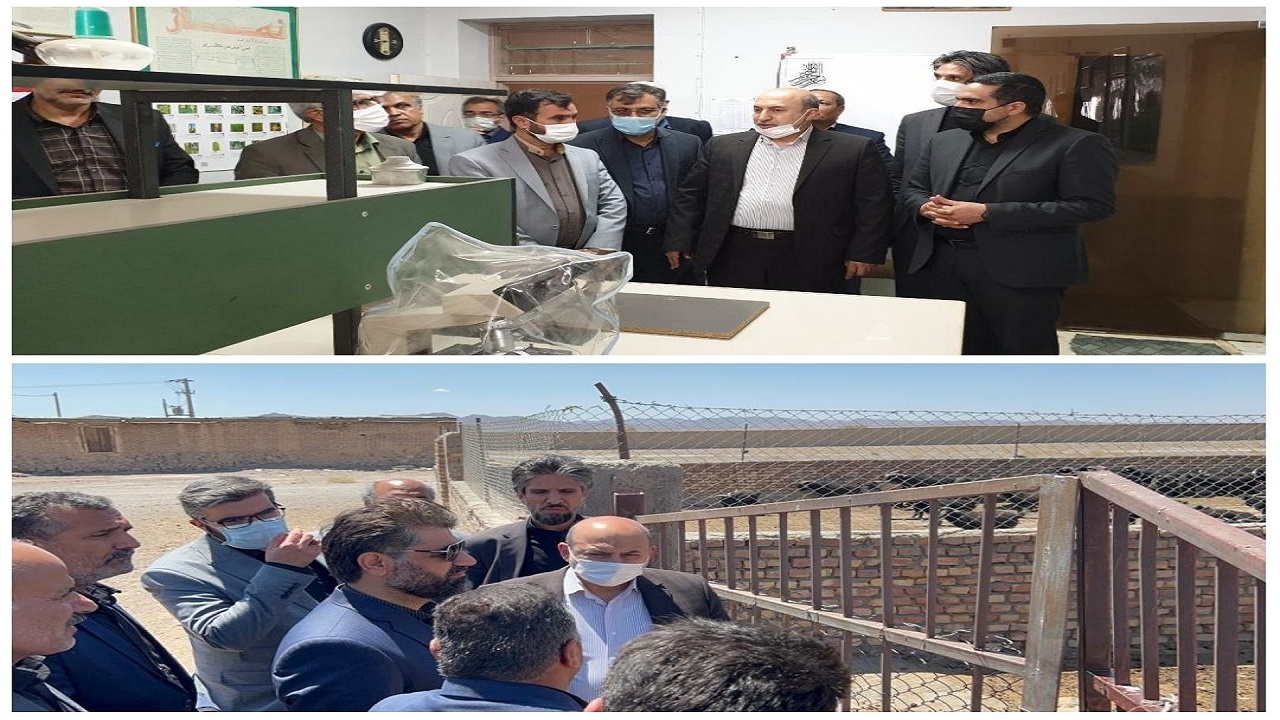 بازدیدمعاون وزیر جهاد کشاورزی از دو طرح تحقیقاتی جهاد کشاورزی در خراسان جنوبی