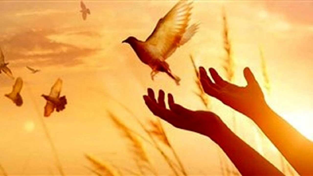 13 سال کینه/یک روز بخشش