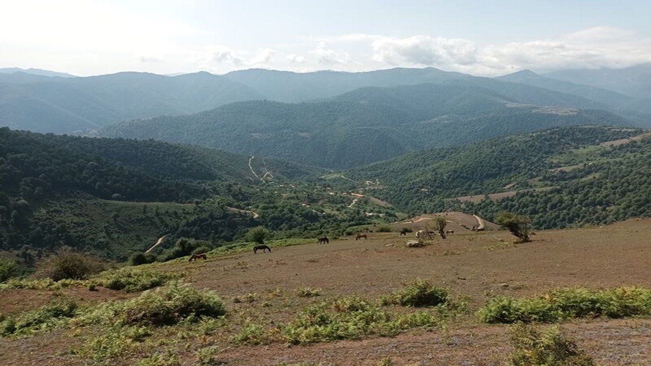 روستای چَروَدِه پره‌سر رضوانشهر در اوج طراوت و زیبایی
