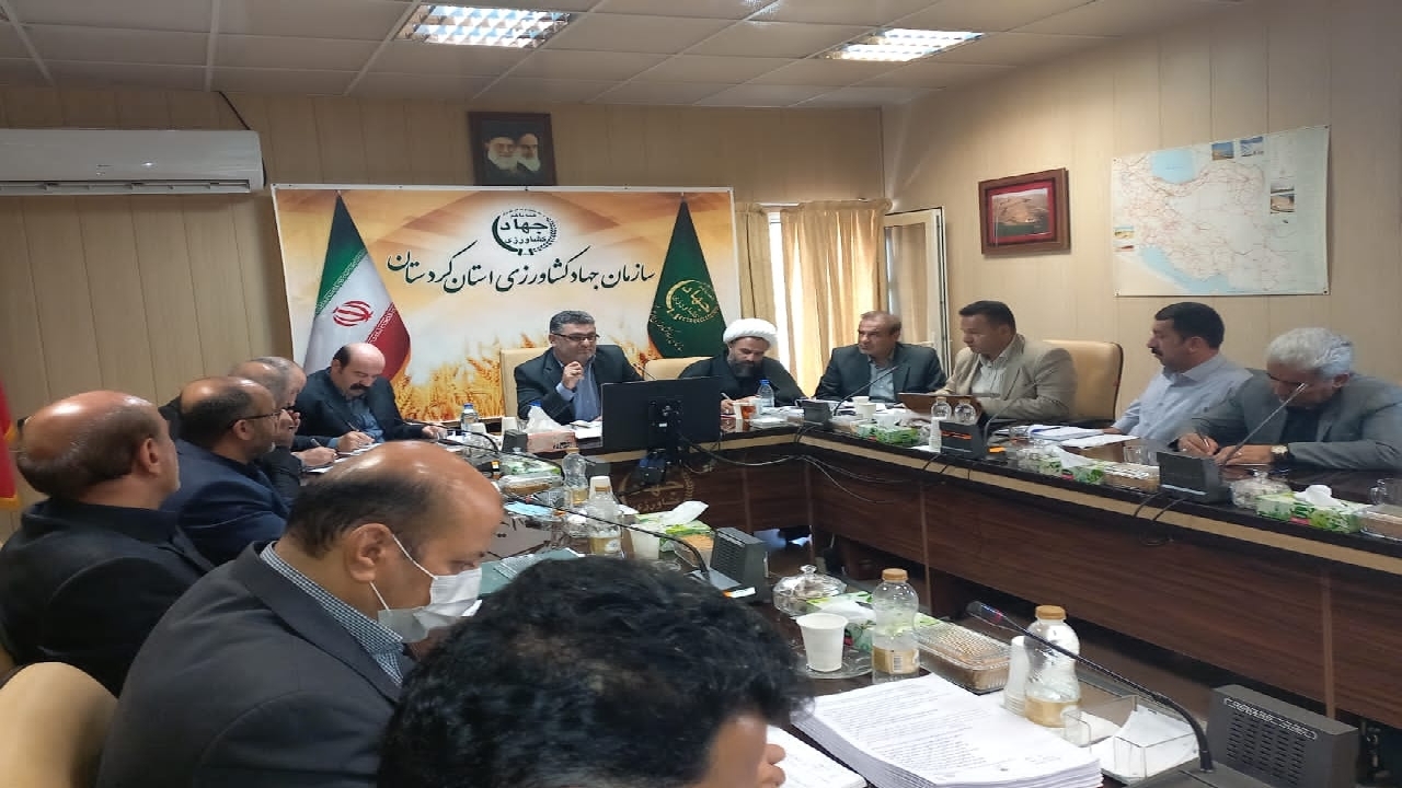 ۶ هزار میلیارد تومان عاید گندمکاران کردستانی می شود