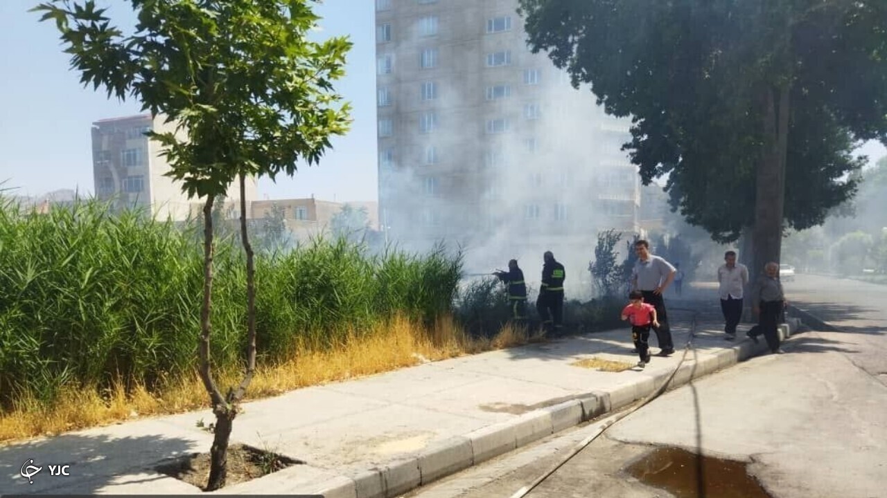 آتش سوزی پوشش گیاهی در مهاباد