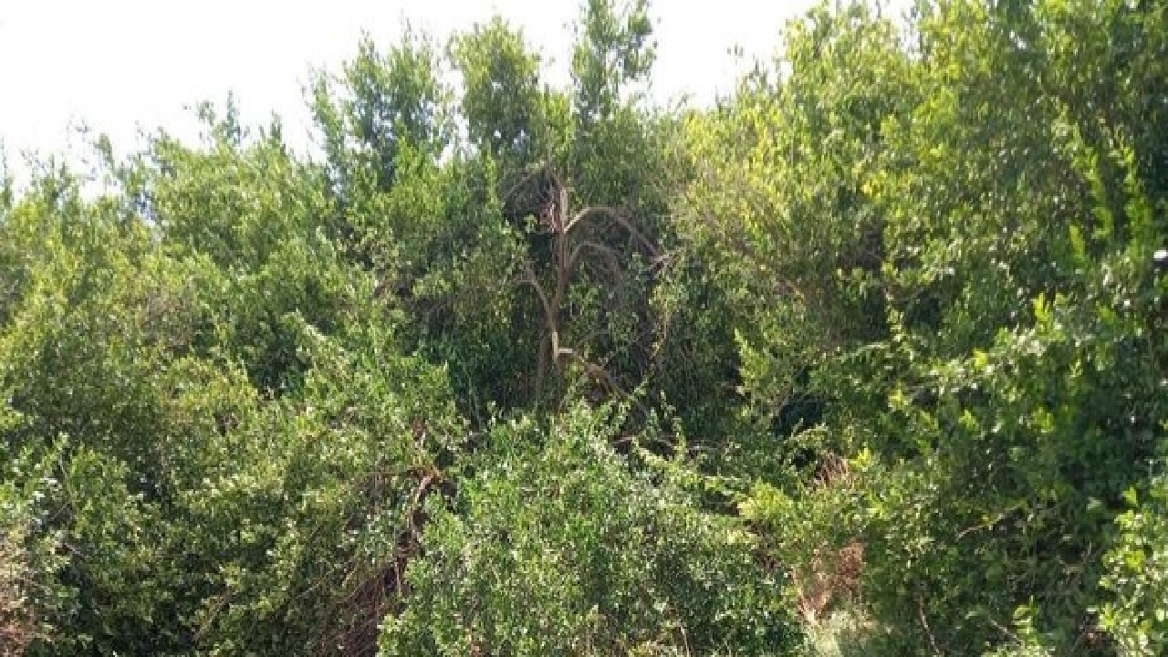 سیل اخیر برای شهرستان باشت خسارت به بار آورد