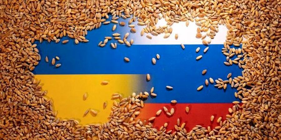 مسکو: غلات اوکراین به جای آفریقا به اروپا می رود