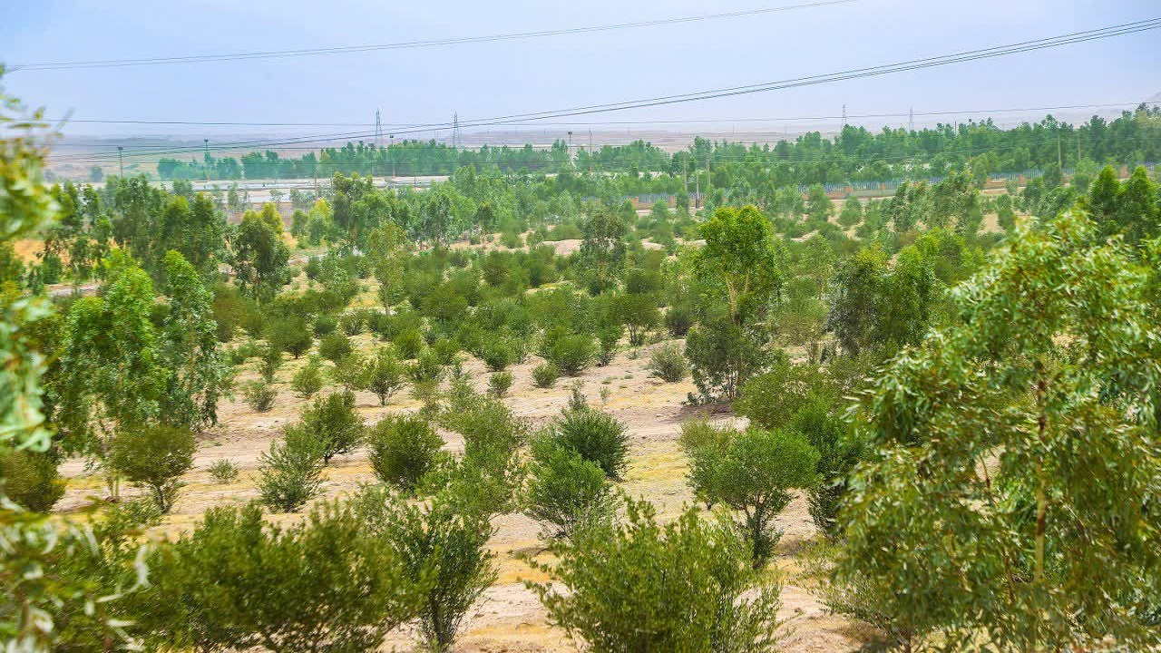پیش‌بینی کاربری‌های متنوع در بوستان رضوان قم