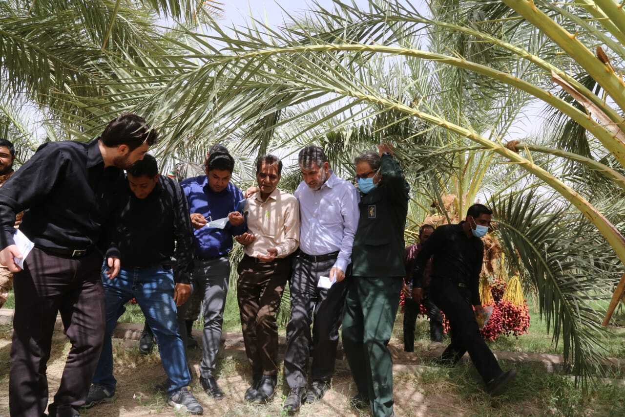 وزیر جهاد کشاورزی