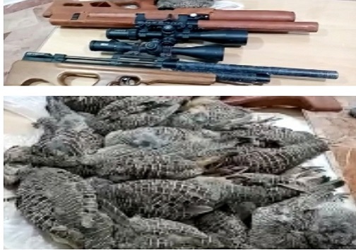 شکارچی غیر مجاز در شرق هرمزگان دستگیر شد + عکس
