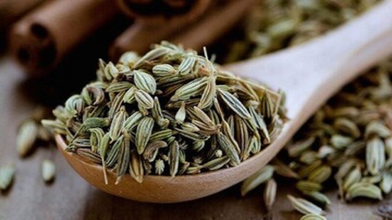 بیش از ۹۵ درصد رازیانه کشور در شهرستان رزن تولید می شود