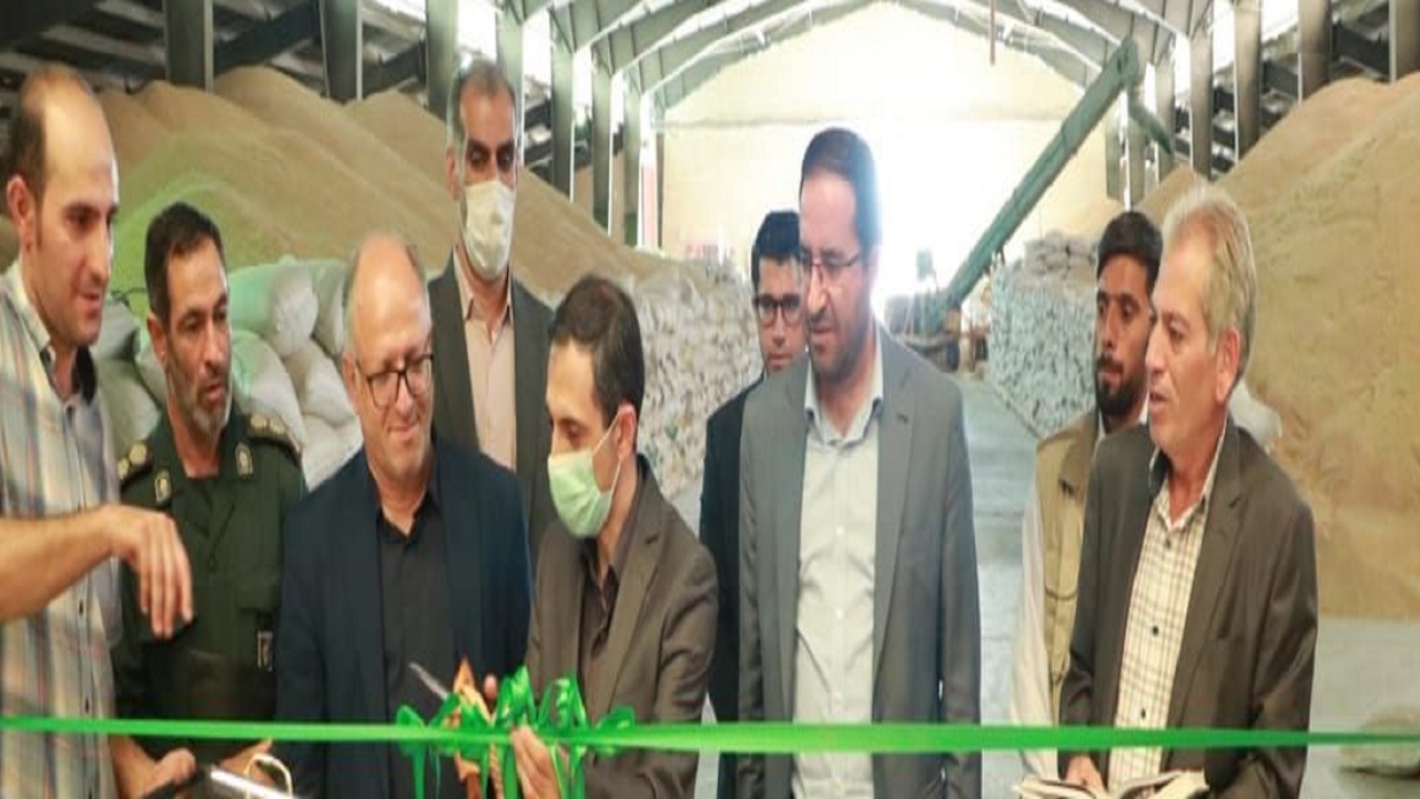 آیین آغاز فرآوری و بوجاری گندم دیم سال زراعی آینده در تاکستان