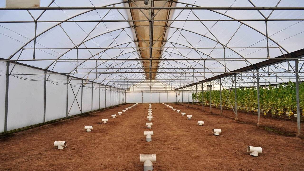 راه‌اندازی مجتمع های گلخانه‌ای و دامپروری ۴۷۰ هکتاری در بروجن