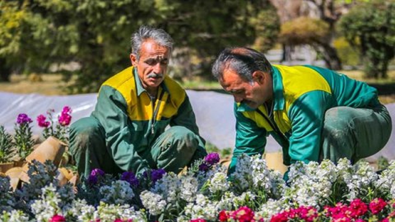 مهارت‌ باغبانان اصفهانی ارتقاء می‌یابد