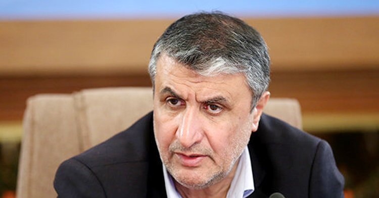 رئیس سازمان انرژی اتمی: شاهد تقویت توازن و بازدارندگی در مذاکرات برجامی هستیم